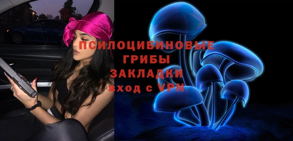 MESCALINE Аркадак