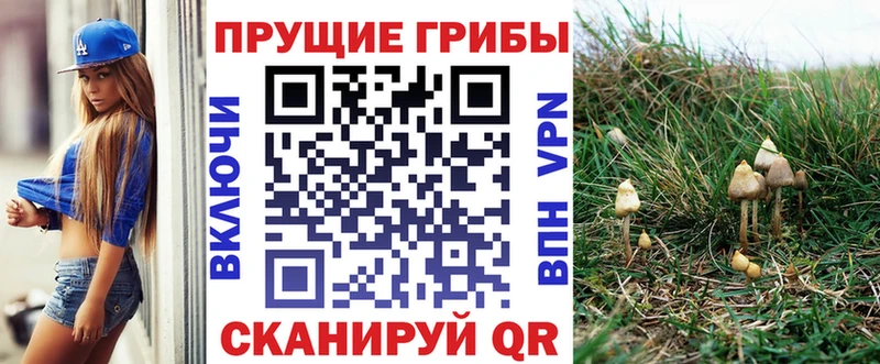 сколько стоит  Малмыж  Галлюциногенные грибы Magic Shrooms 